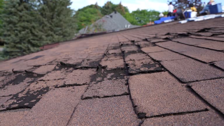 Best Roof Ventilation Installation  in Montebello, CA